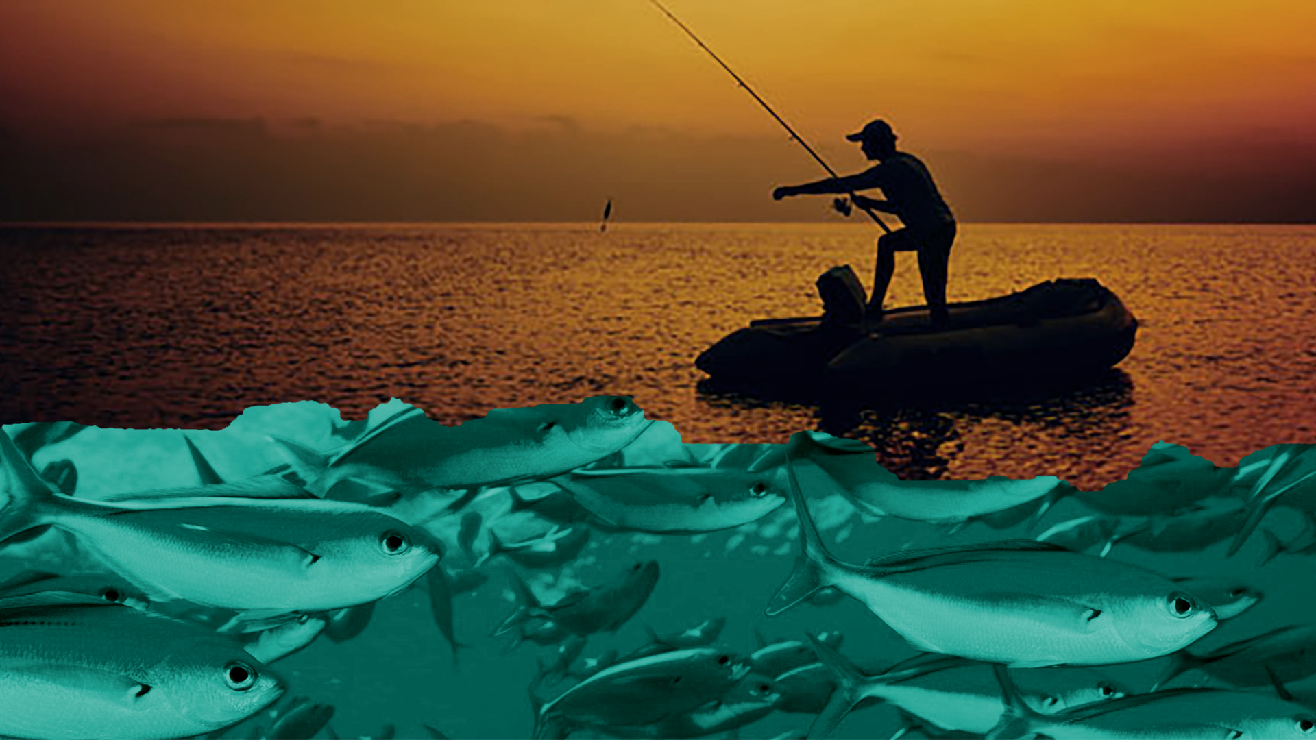 A angler silhouetted by golden sunset casts a line into a calm sea. Beneath the surface, a feeding frenzy of large fish. Metaphor for campaigning content- fish where the fish are.