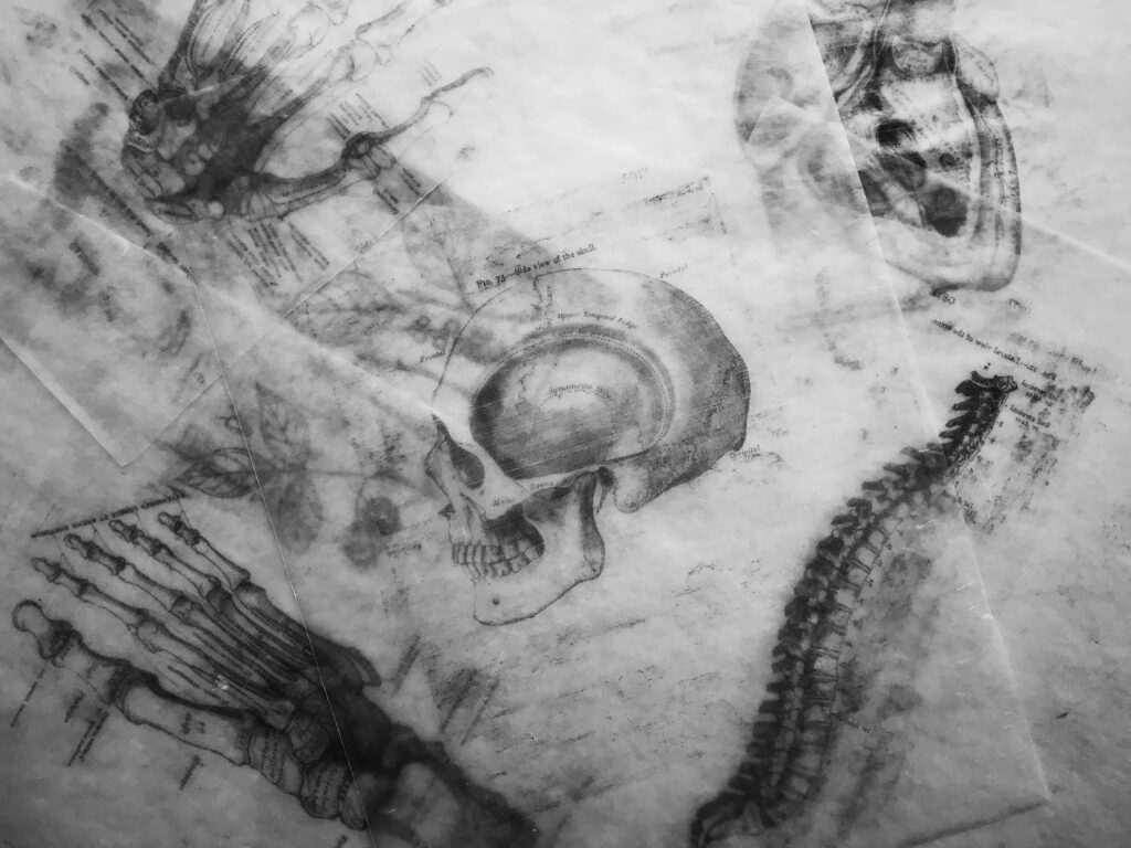 Detailed charcoal drawings on overlaid parchments show details of human anatomy. Head heart, hand, spine.