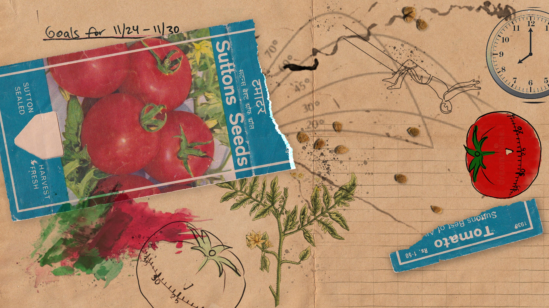 We see the inside of a notebook, with sketches of elegant growth curves, a thriving tomato plant, and the ubiquitous plastic tomato kitchen timer. It illustrates that personal growth and productivity comes from planning, patience and planting seeds in the lean months.